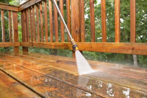 Best Spring Cleaning  in Carbon Hill, AL